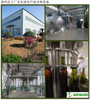 亞麻籽油廠家直銷，品質保障，山東菏澤中禾健元生物科技為您提供優質500ml冷榨亞麻籽油