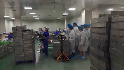 走進生物科技的實踐殿堂——記2014級生物工程專業同學參觀成都泰和健康科技集團華神制藥廠